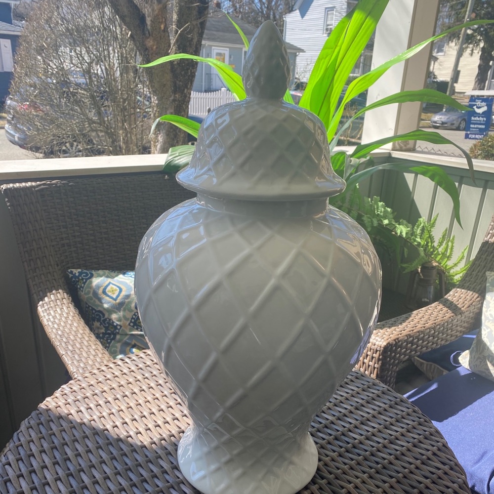 Jumbo white ginger jar new